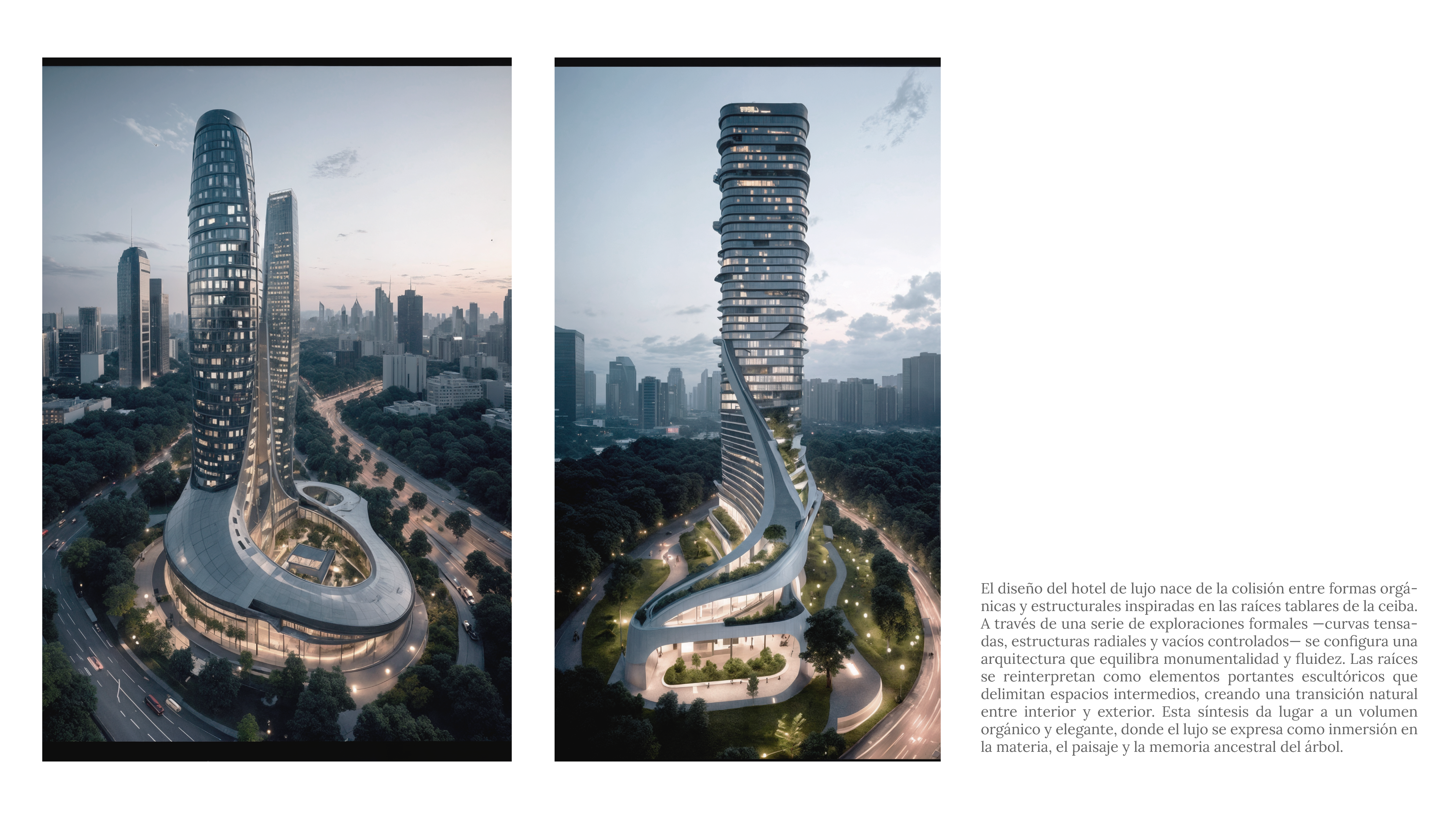 The Ceiba Rise Hotel-4