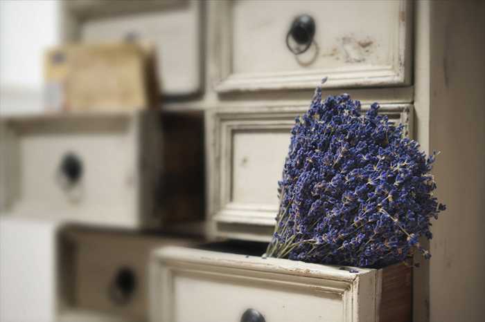 世界最小酒店——意大利摩德纳的 Quartopiano 迷你酒店-9