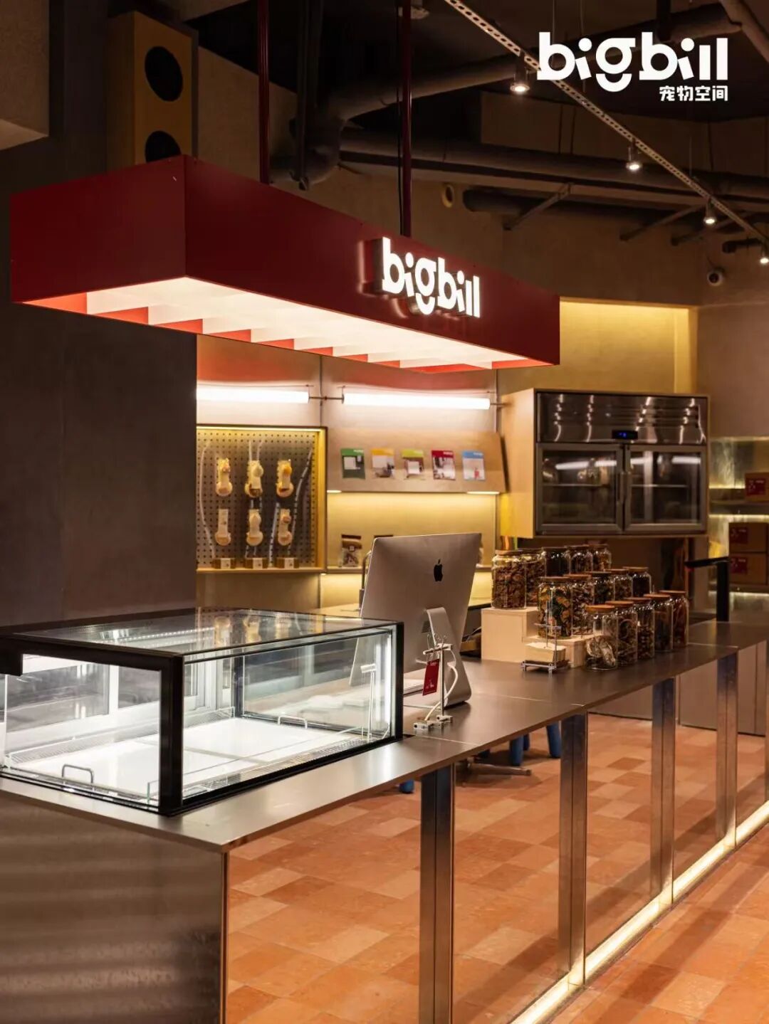 立衡中灯光实景xBIGBILL宠物店-13