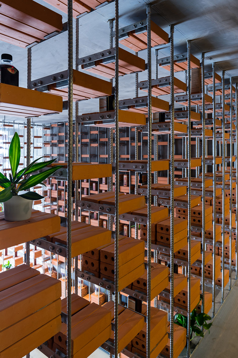 Organicare商品展示间,越南 / Tropical Space-30