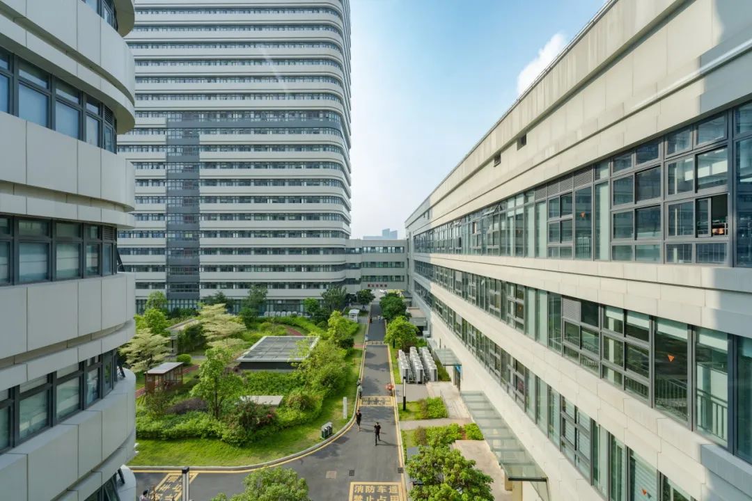 漳州市医院高新区院区项目丨中国漳州丨CCDI悉地国际-17