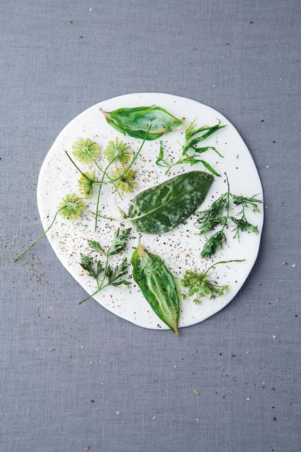 实验性美食活动 | Amsterdam 的 Lloyd 酒店文化大使馆-30