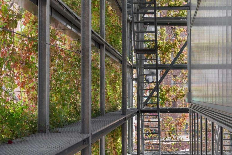 巴塞罗那绿色翻新之带绿植覆盖建筑的体育中心丨西班牙巴塞罗那丨Architecture Anna Noguera-23