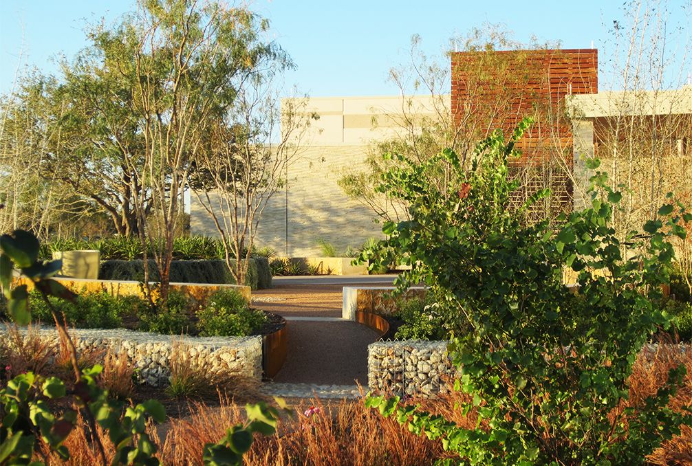 数据牧场丨美国奥斯汀-2