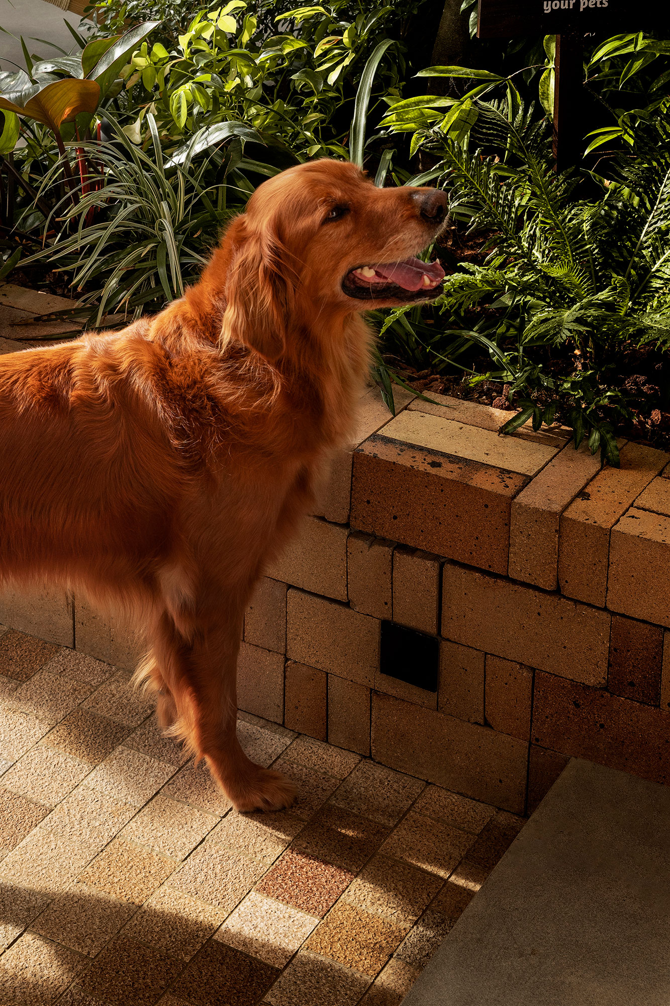 咖啡店丨中国深圳丨Pure & Wild Studio朴野设计-92