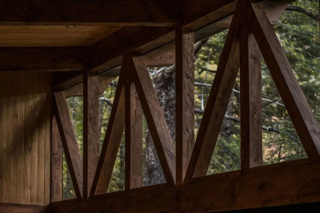 智利 118m²森林木屋丨勾勾手设计网-25