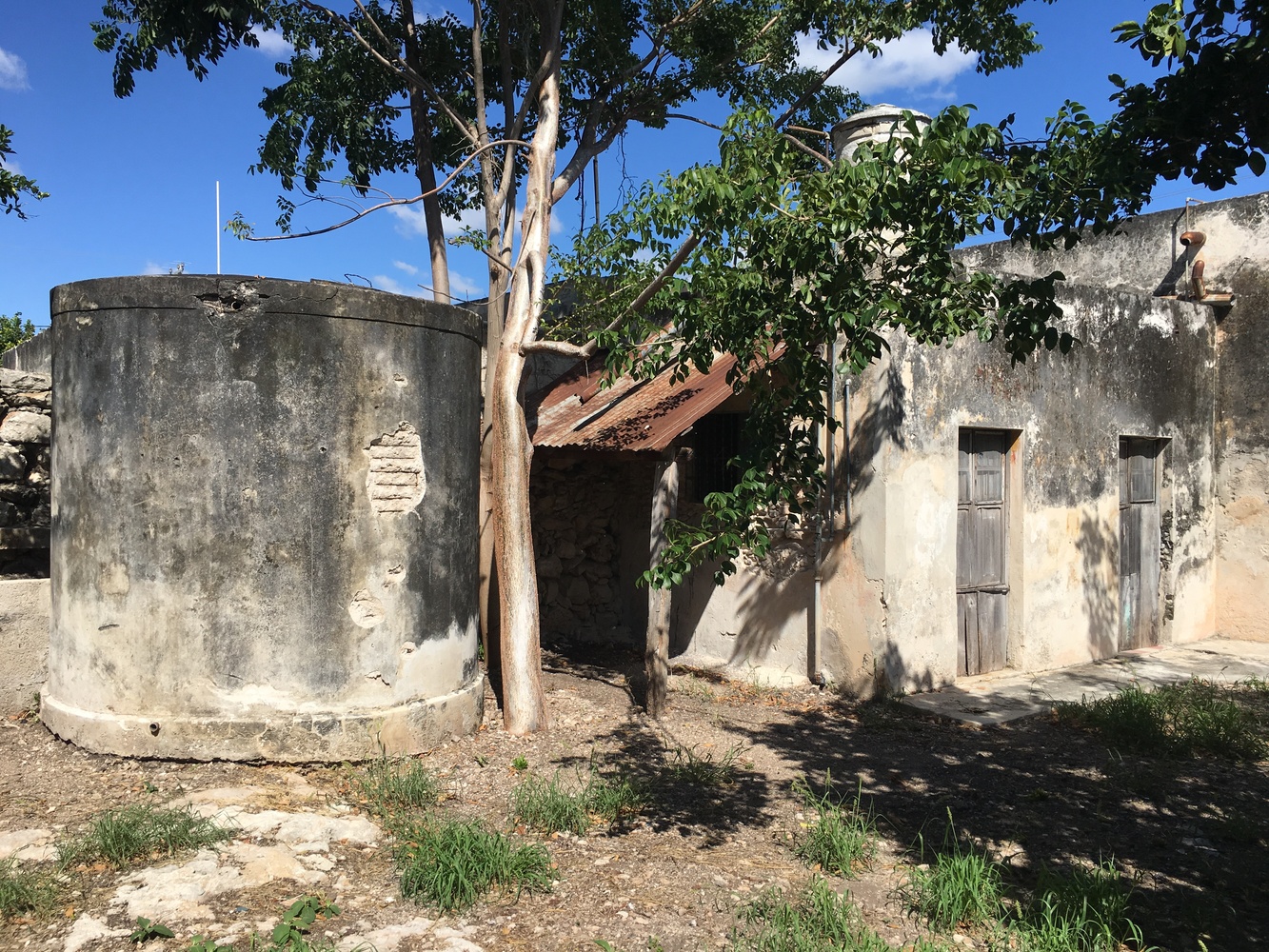 Xolotl House   Punto Arquitectónico-77