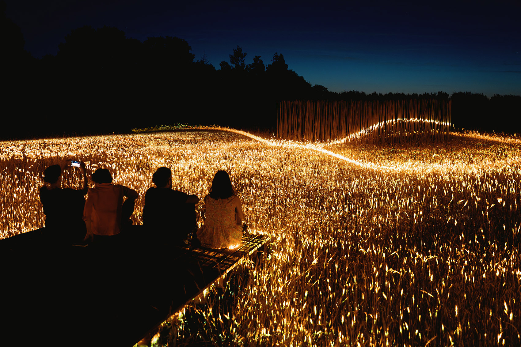 Phorest灯光装置丨1024 architecture-20