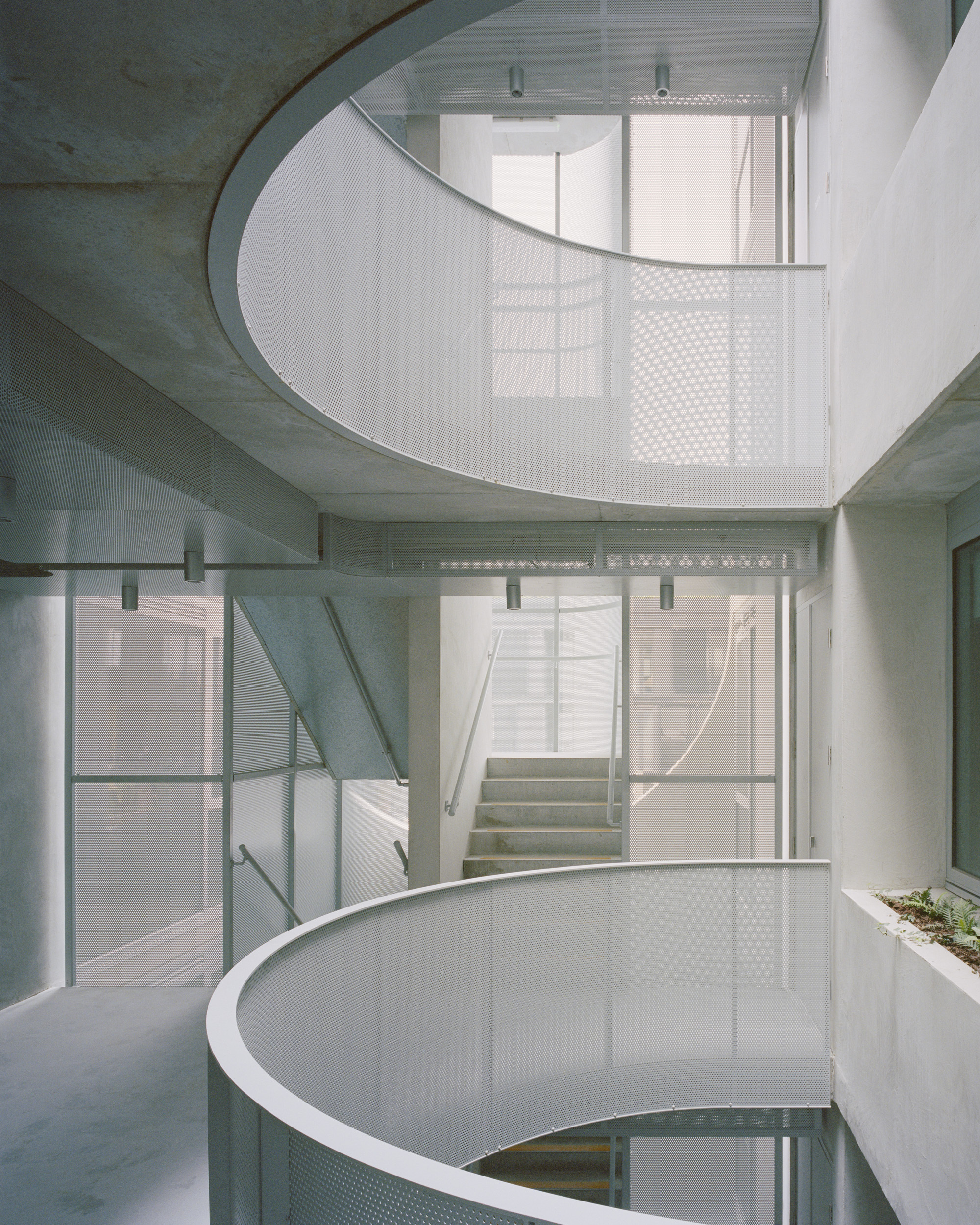 纳皮尔街 231 号住宅楼丨澳大利亚丨Edition Office-8