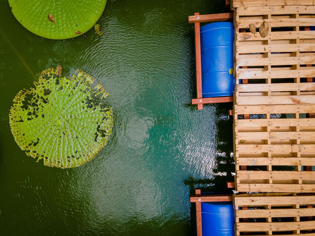 巴西玛瑙斯浮桥丨Colectivo Aqua Alta-26