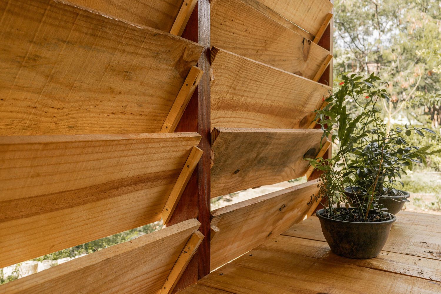 保留自我管理动态功能松木框架绿植园艺工作室设计丨巴西丨米纳斯吉拉斯联邦大学建筑学院项目部-14