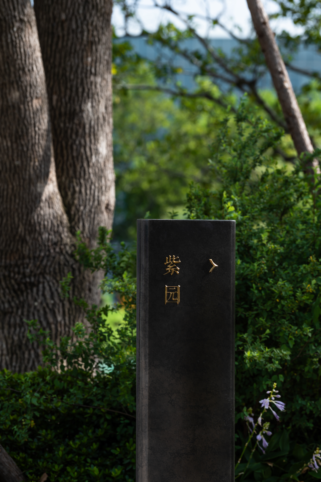 招商蛇口·和园 | 一藤一蔓织岁月 一石一木归自然丨中国南通丨柏熙标识-30