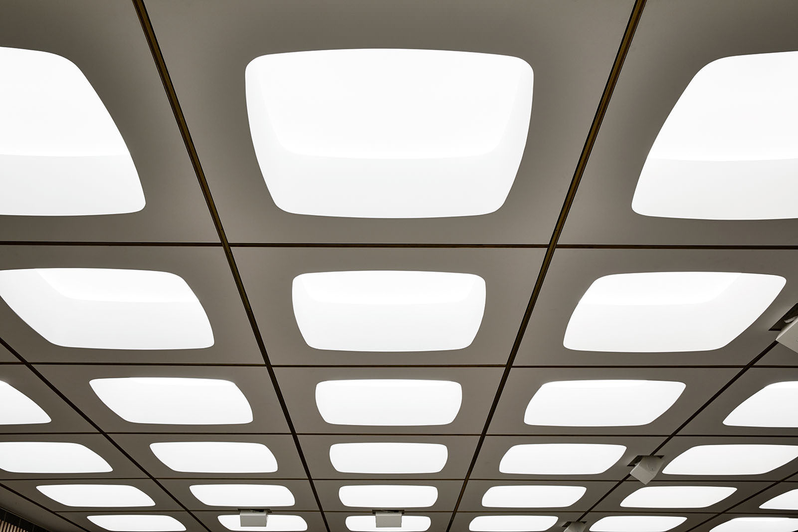 Monash University Moot Court | Jackson Clements Burrows-32