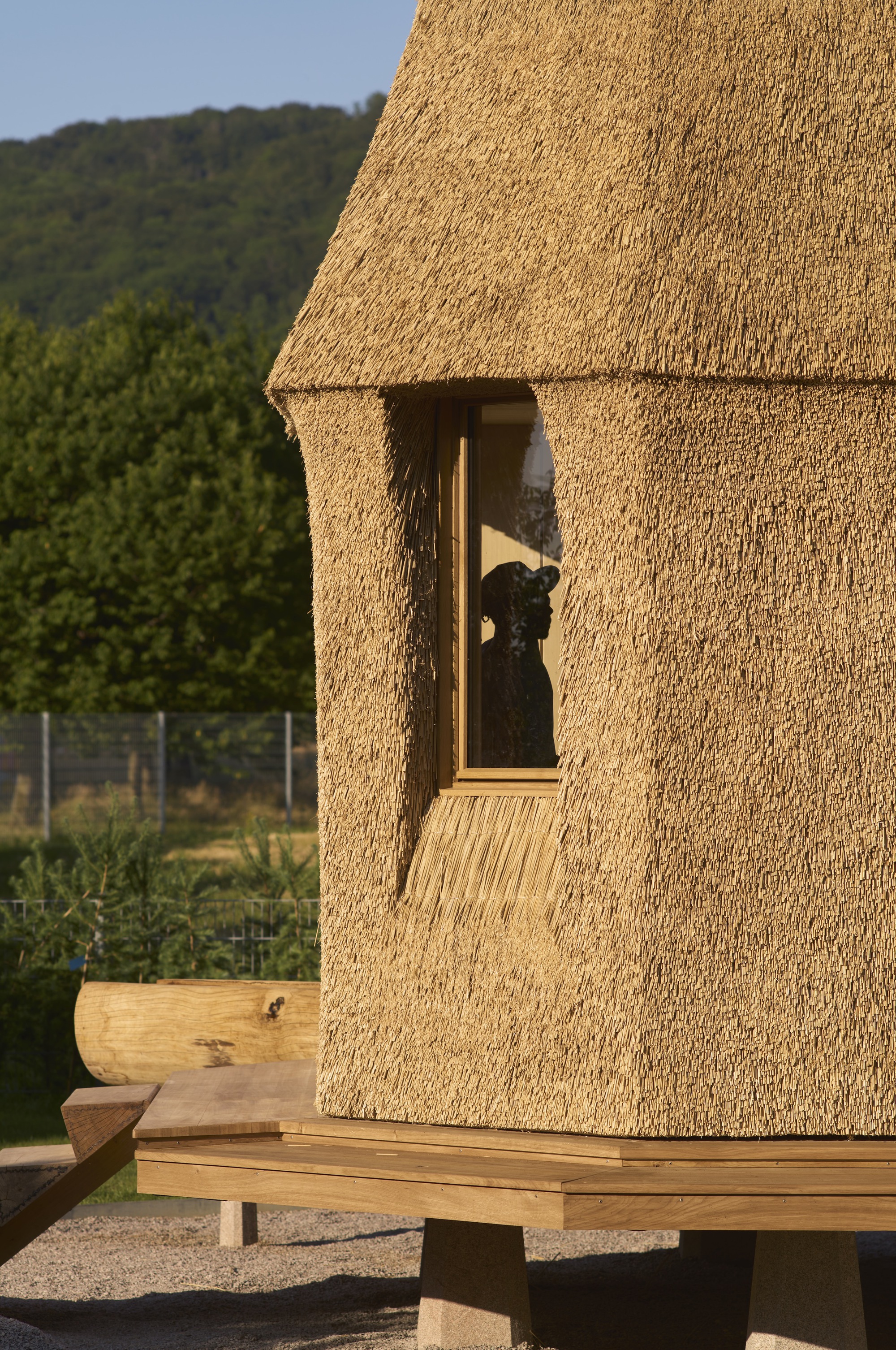 塔内花园屋丨德国丨Atelier Tsuyoshi Tane Architects-14