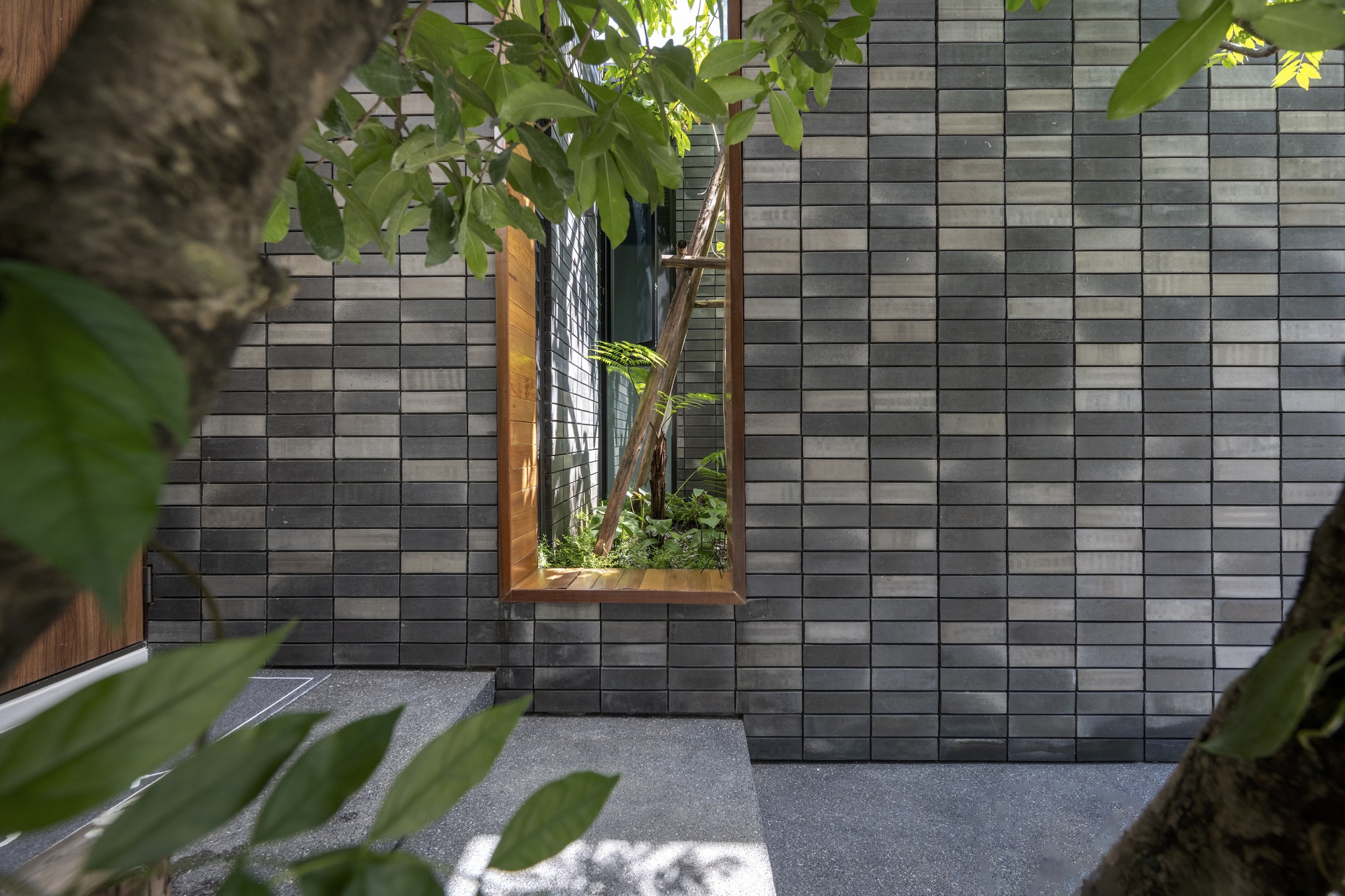 树的房子丨泰国曼谷丨Studio Bewell-35