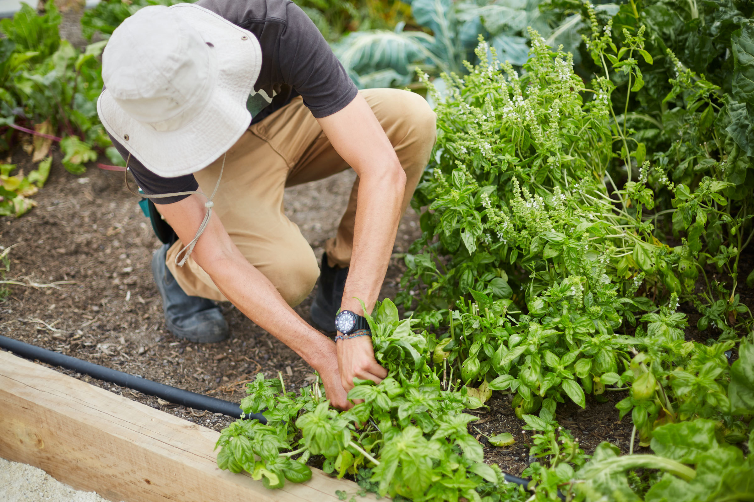 丨新西兰奥克兰丨Xanthe White,James Walkinshaw-30