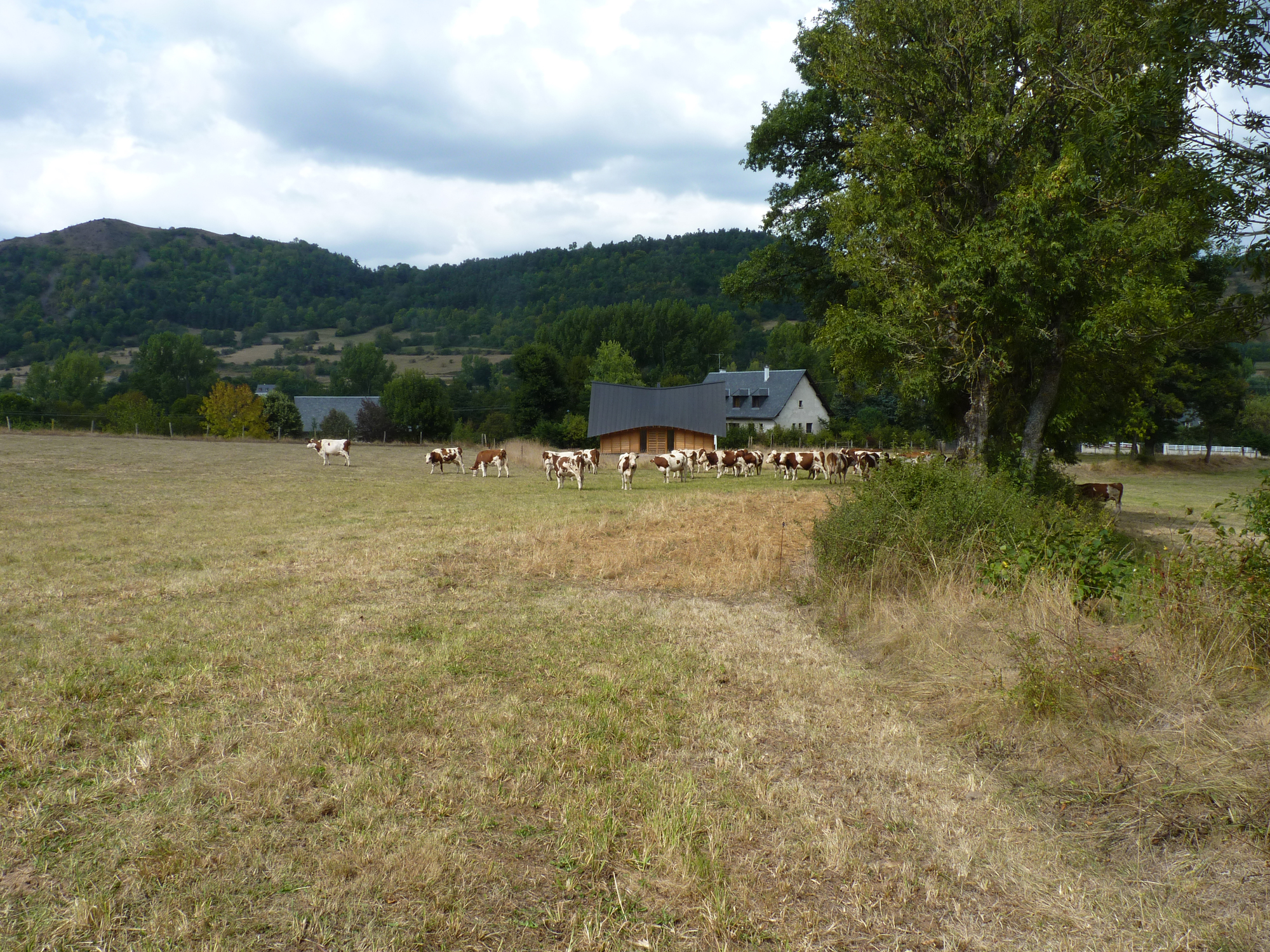 L’Onde Cabin  / arba-23