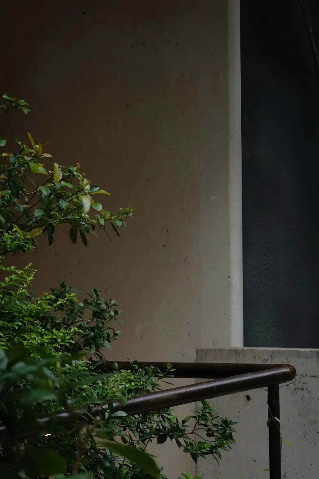 茅台鉴藏馆丨中国深圳丨BLOOMDESIGN绽放设计-26