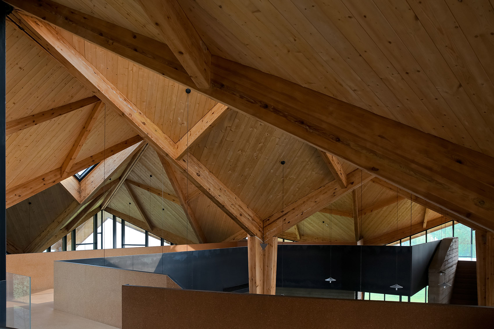 林建筑－与自然树木的共舞 / 迹·建筑事务所（华黎）-101