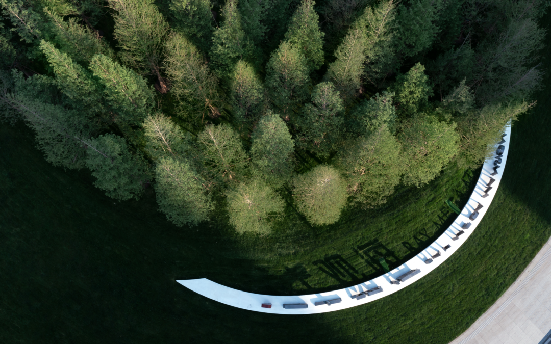 松林浪屿，海岸逐光丨青岛 · 云上观海-20