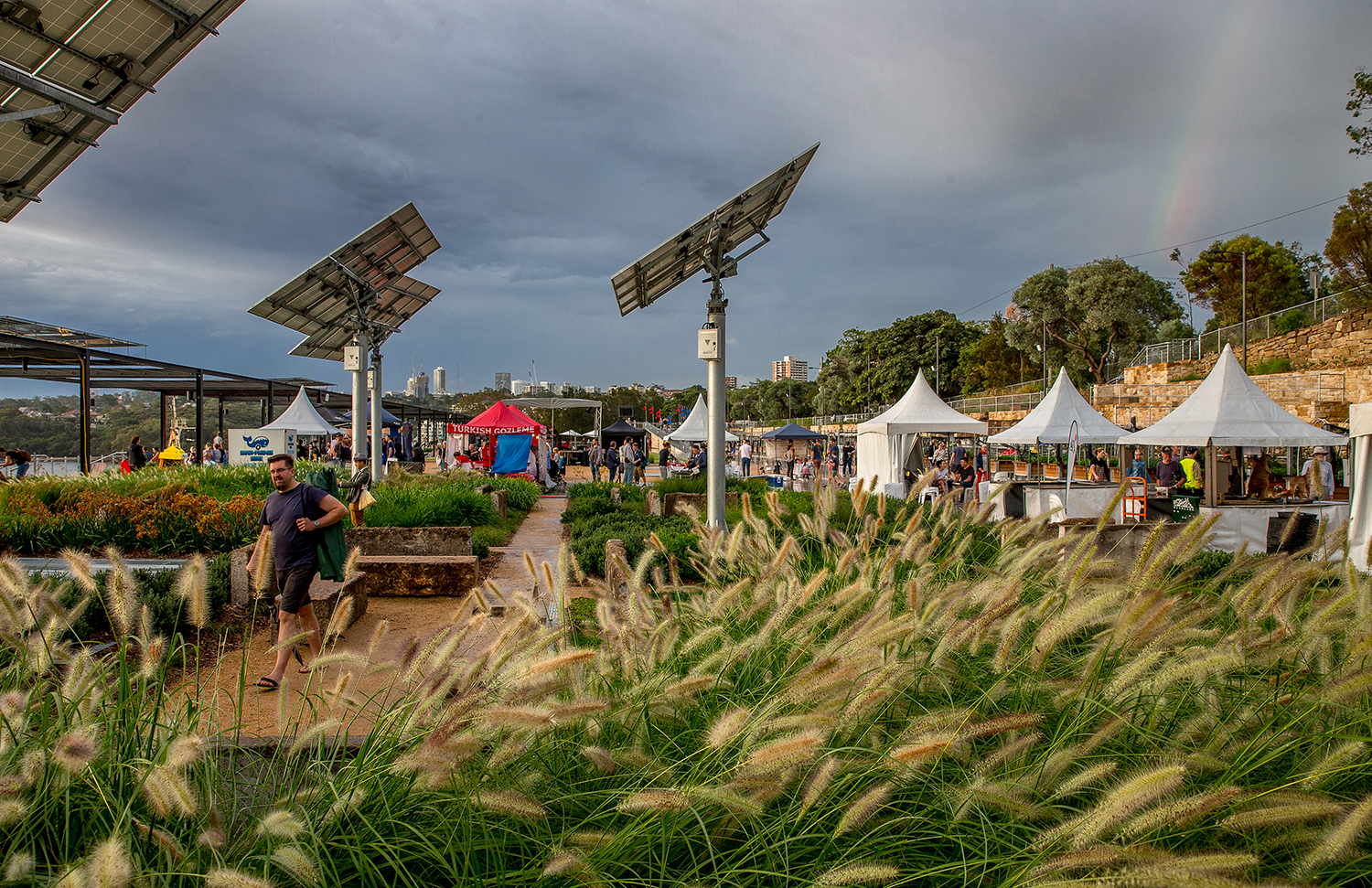 悉尼港口工业遗址变身绿色公共空间——"煤炭装载场"公园-9