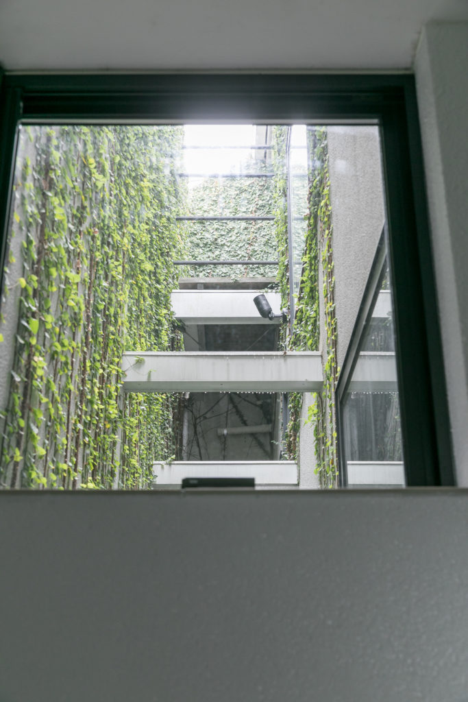 緑と光に包まれる柔らかい光に満ちる コンパクトで心地よい空間で暮らす | Green | 100%LiFE-16