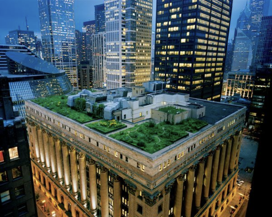 泰国Ramathibodi Healing Garden-102