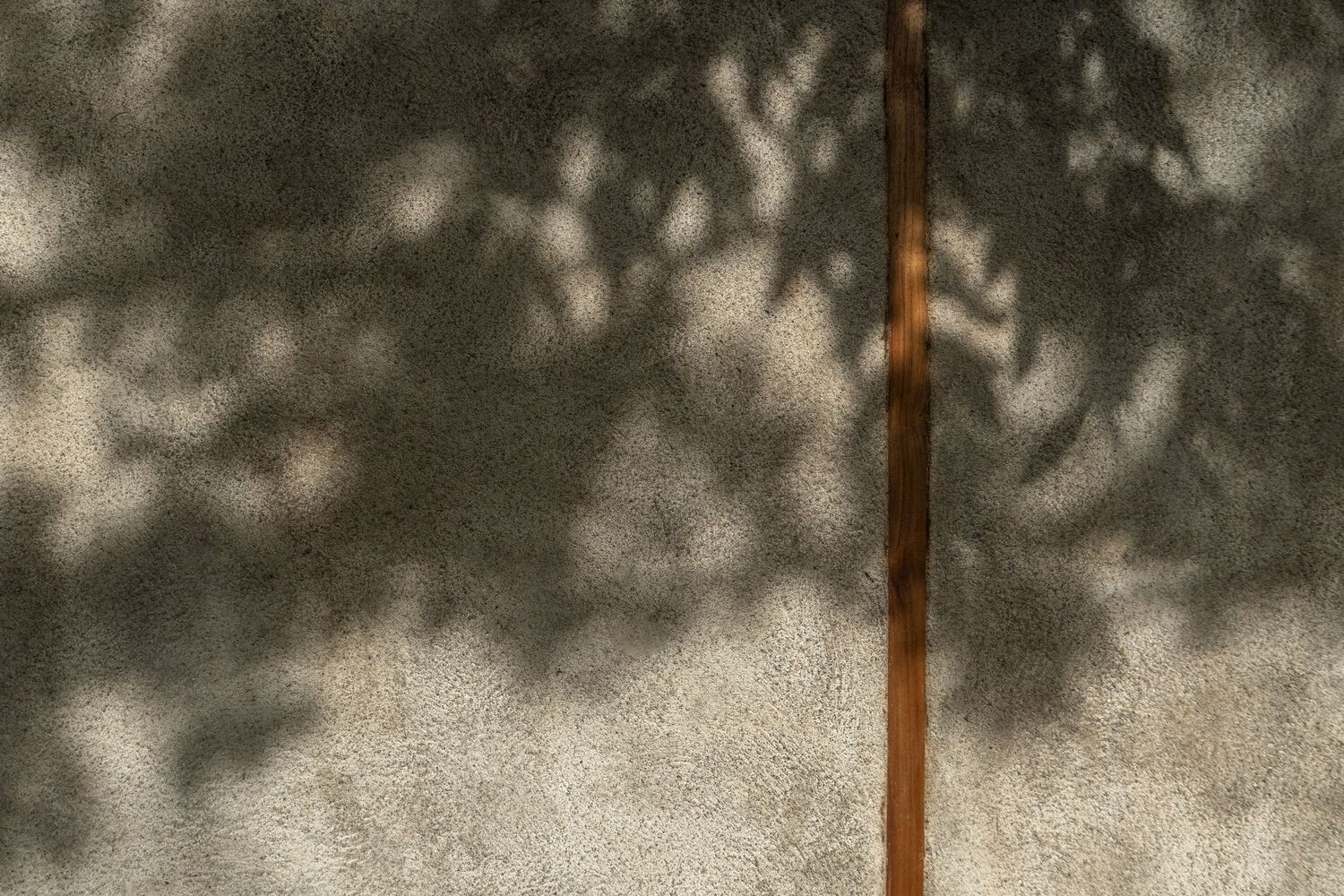 OC 之家丨哥斯达黎加丨Re Arquitectura + DAO-17