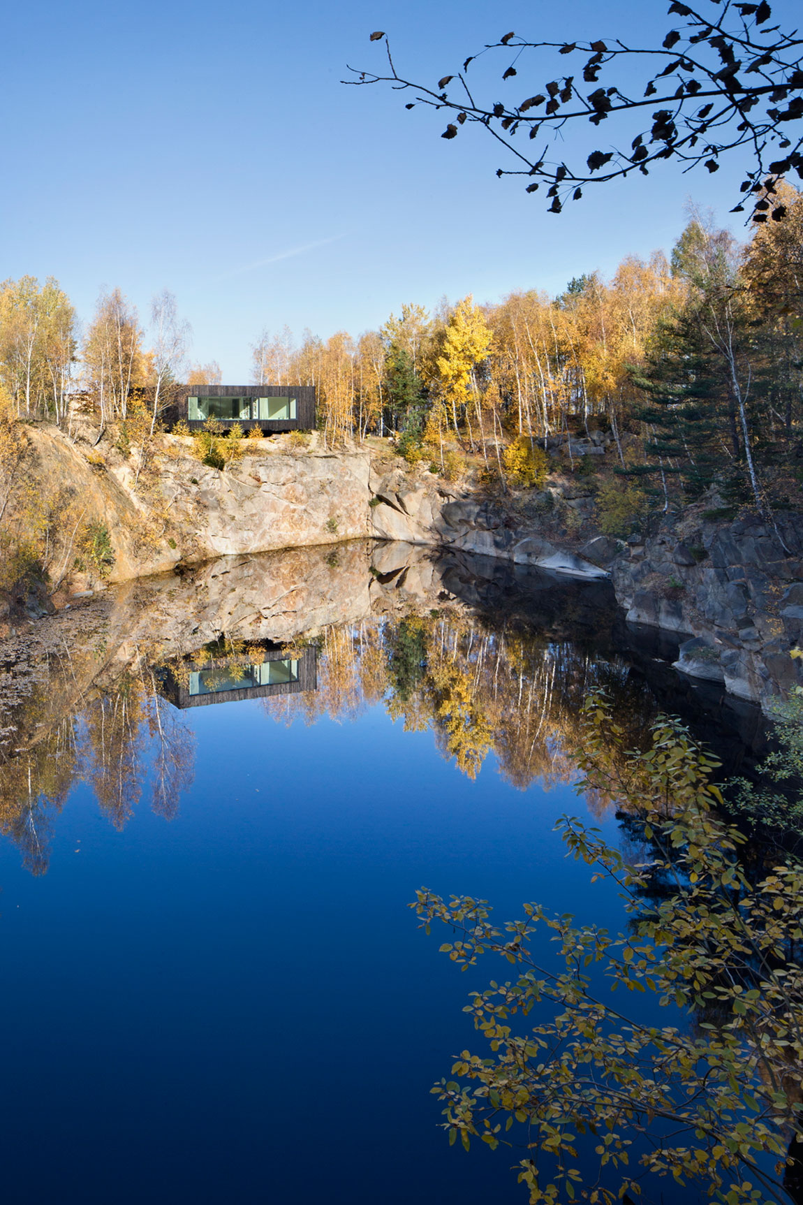 极简森林之家-3