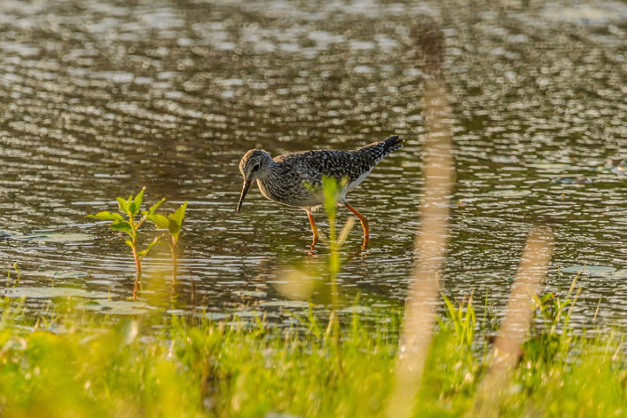 Casa Daia度假屋丨巴西塞阿拉丨UNA barbara e valentim-78