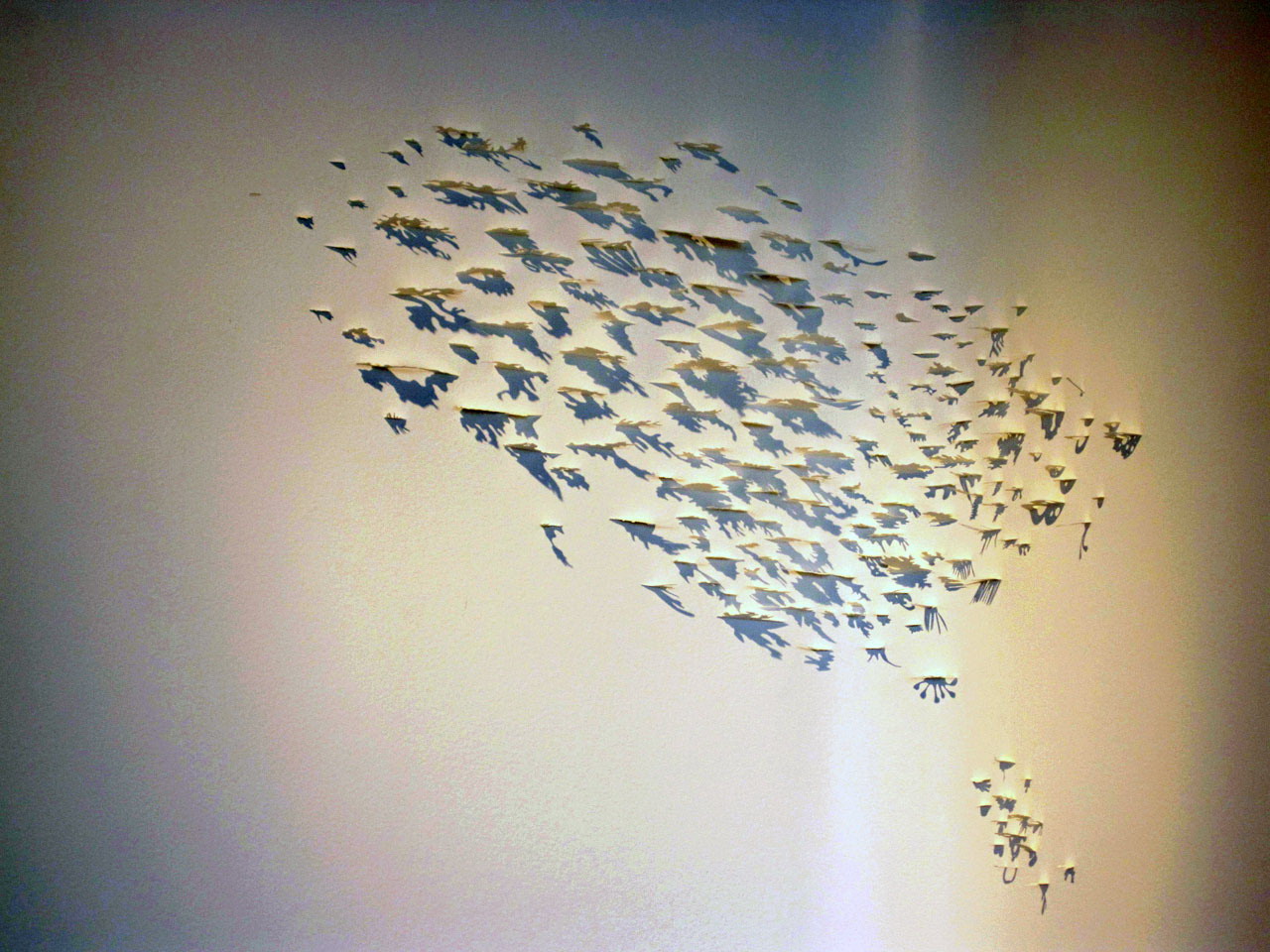 罗得岛金色宽敞住宅-20