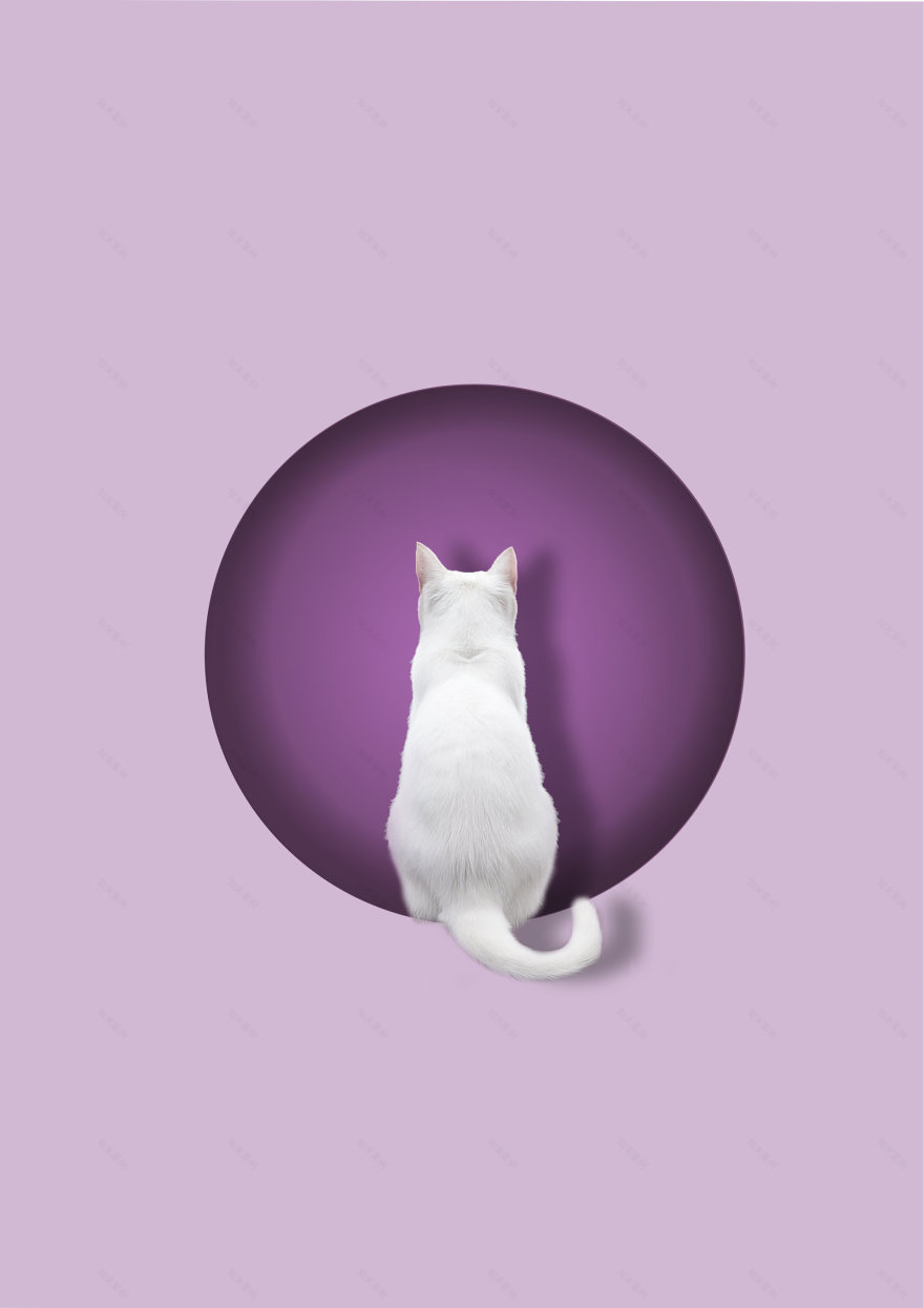 Echoes of the Heart: Healing Center P2-30