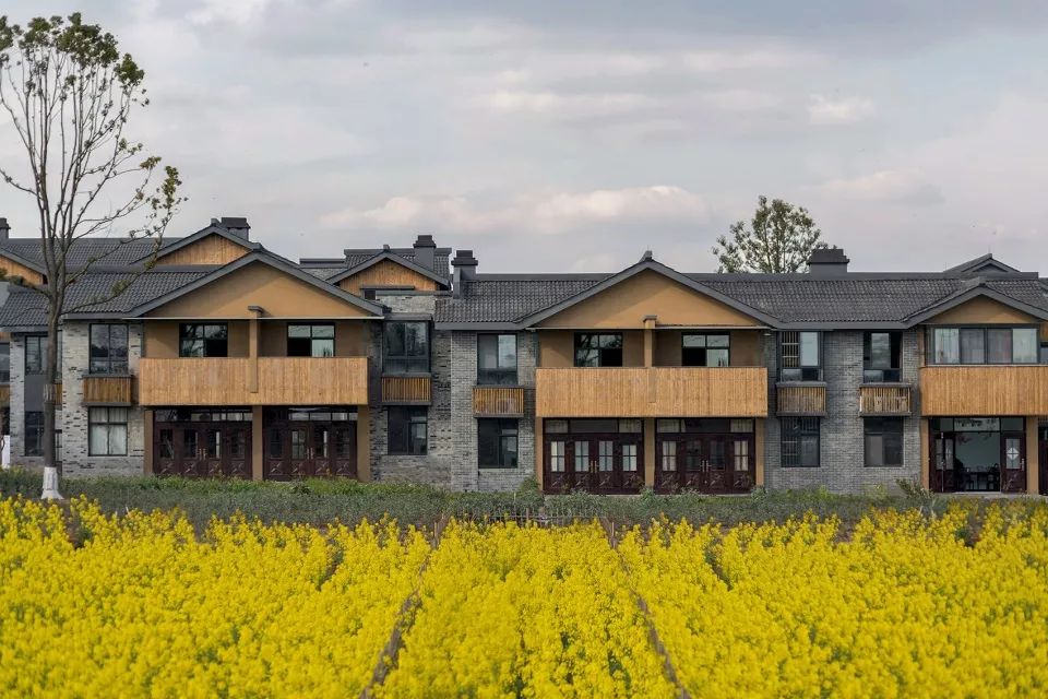 天府新兴·和盛田园东方 | 川西林盘上的城乡融合实验-26