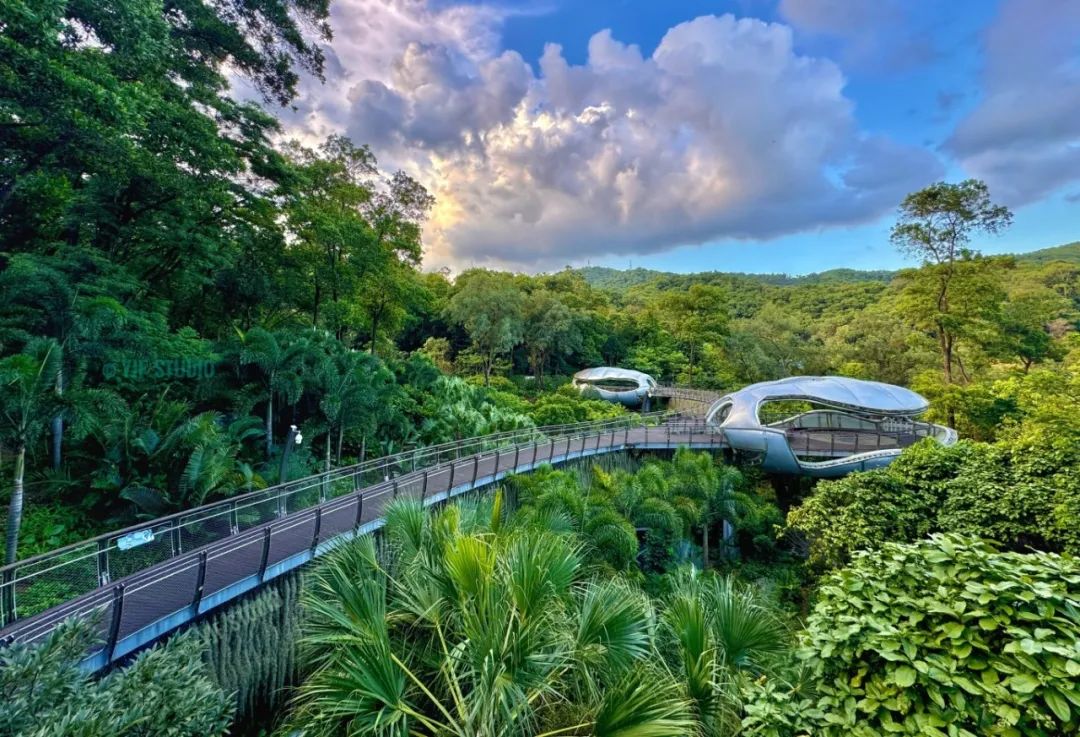 广州云萝植物园丨中国广州丨广州普邦园林股份有限公司-3