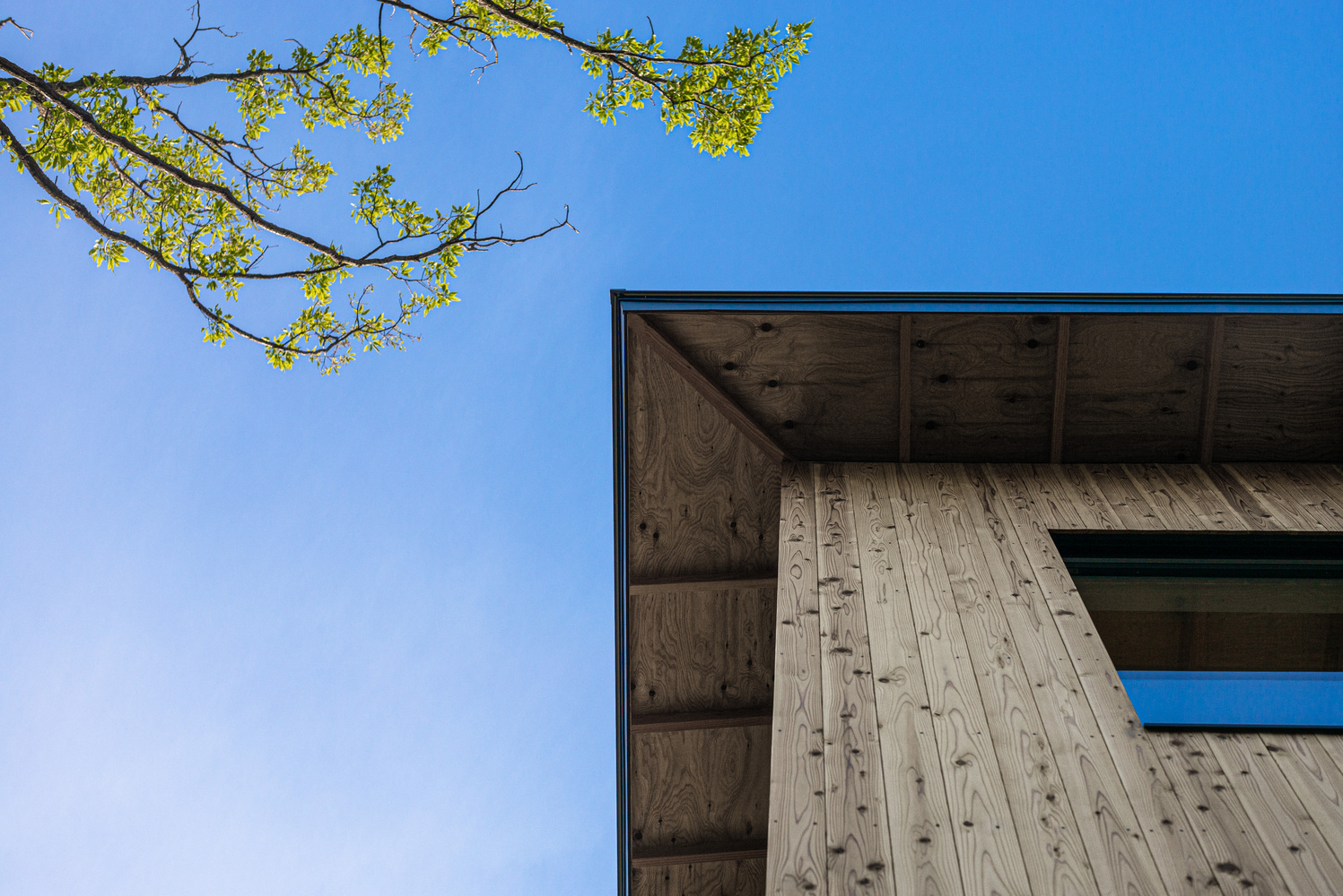 日本伊豆高原 I 住宅丨Florian Busch Architects-21