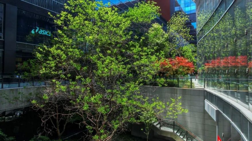 台地花园:虹桥天地丨中国上海-39