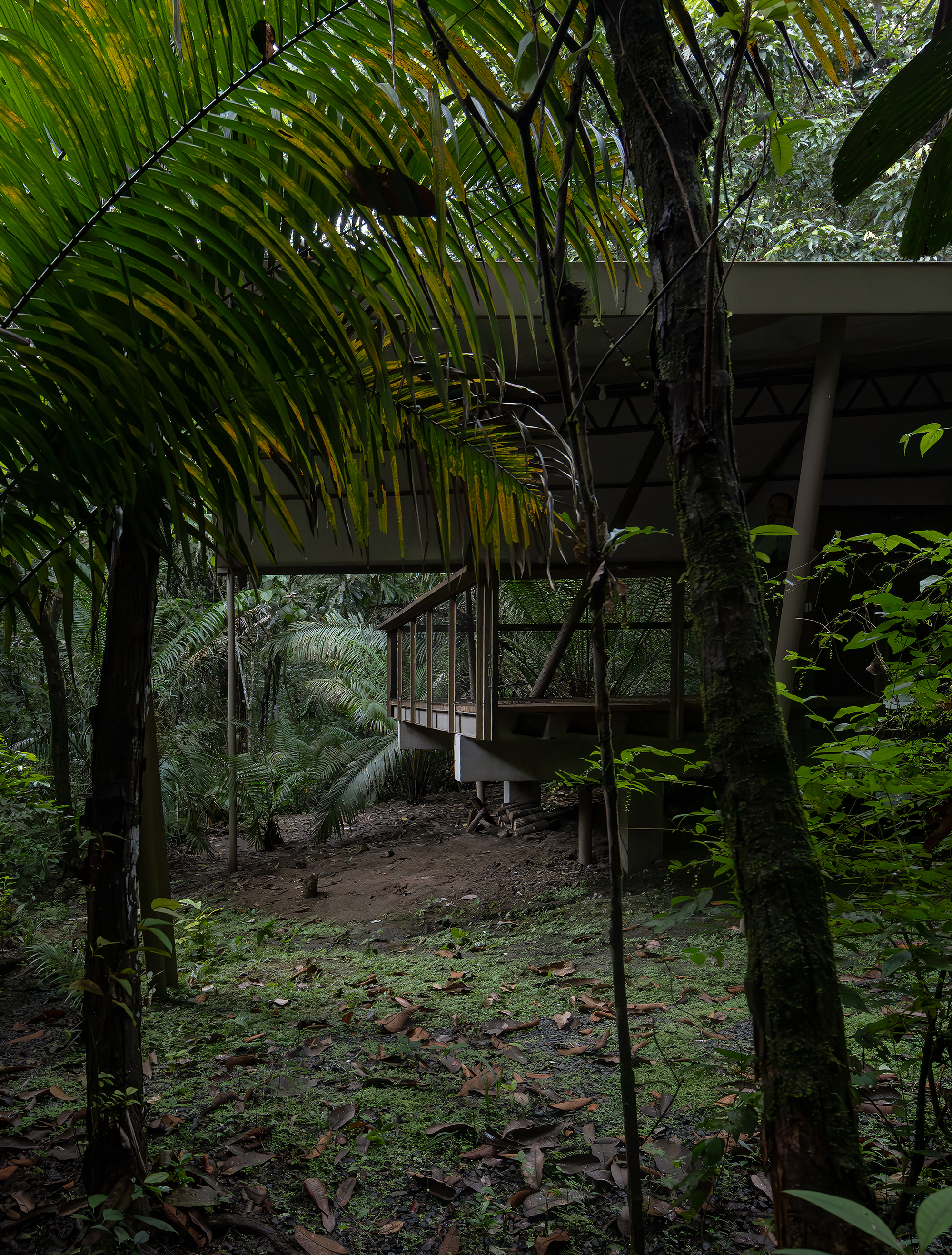 Refuge in the Rainforest - Tour Guide Training Center / Héctor Ayarza + Estudio Garúa-13