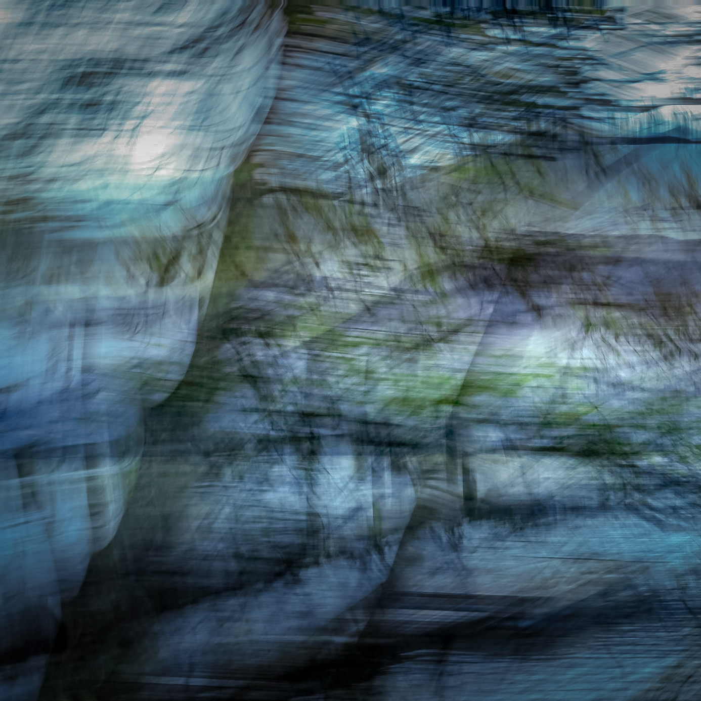 世界上的树木丨Sylvie D.-227