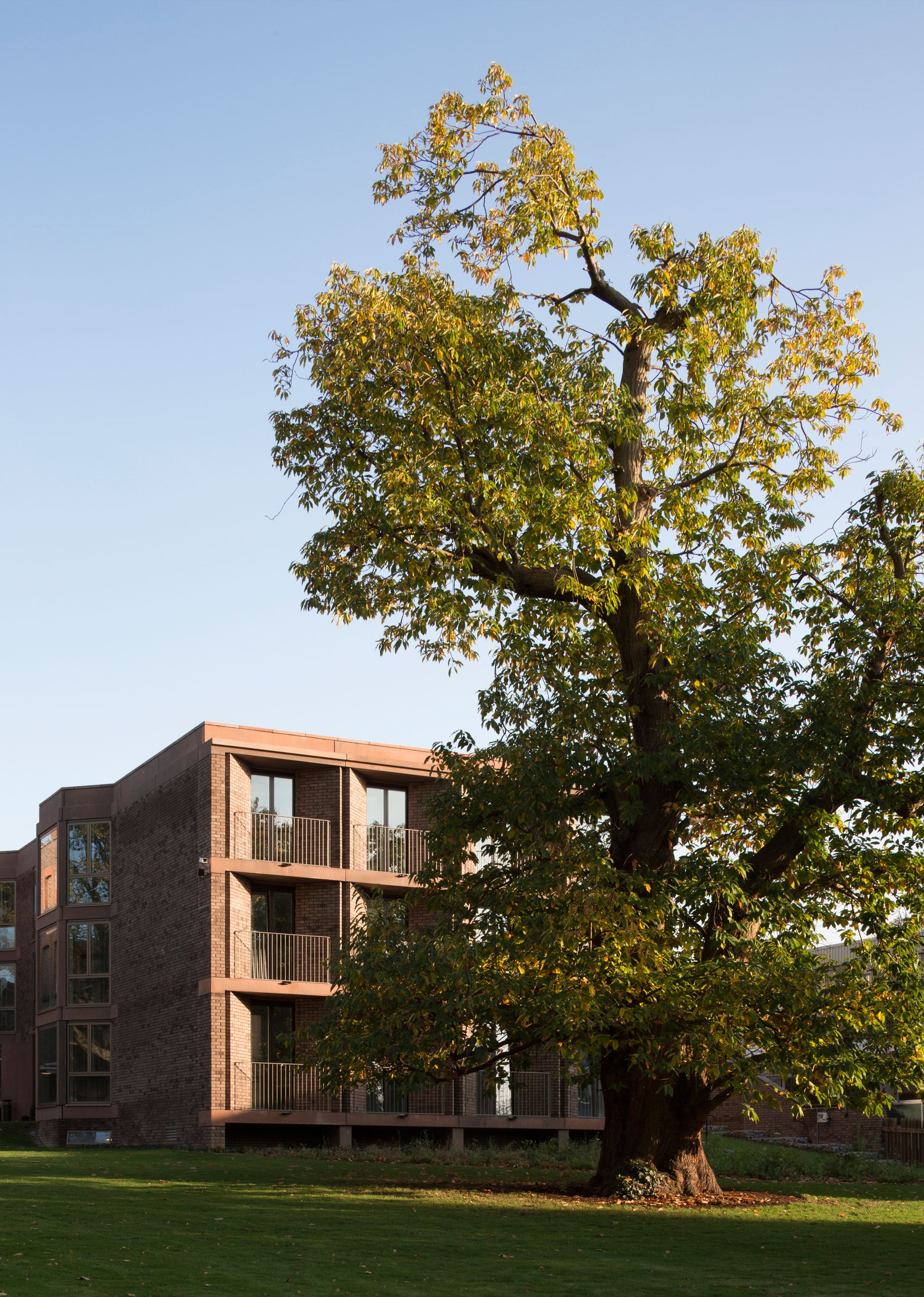 丨英国伦敦丨Henley Halebrown-36