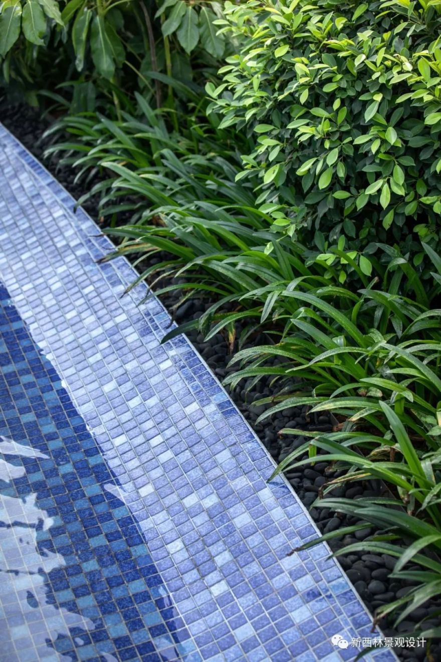 仁恒·海棠公园 | 国际都会高品生态社区的花园城市记忆-110