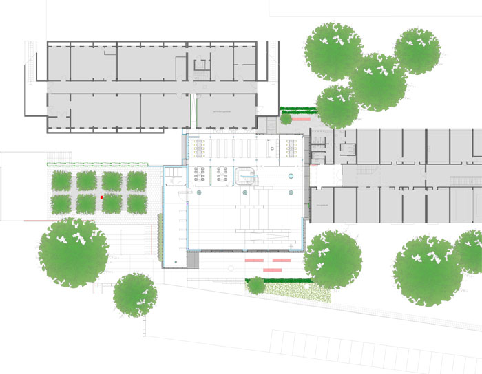 Eckenberg Academy学院-59