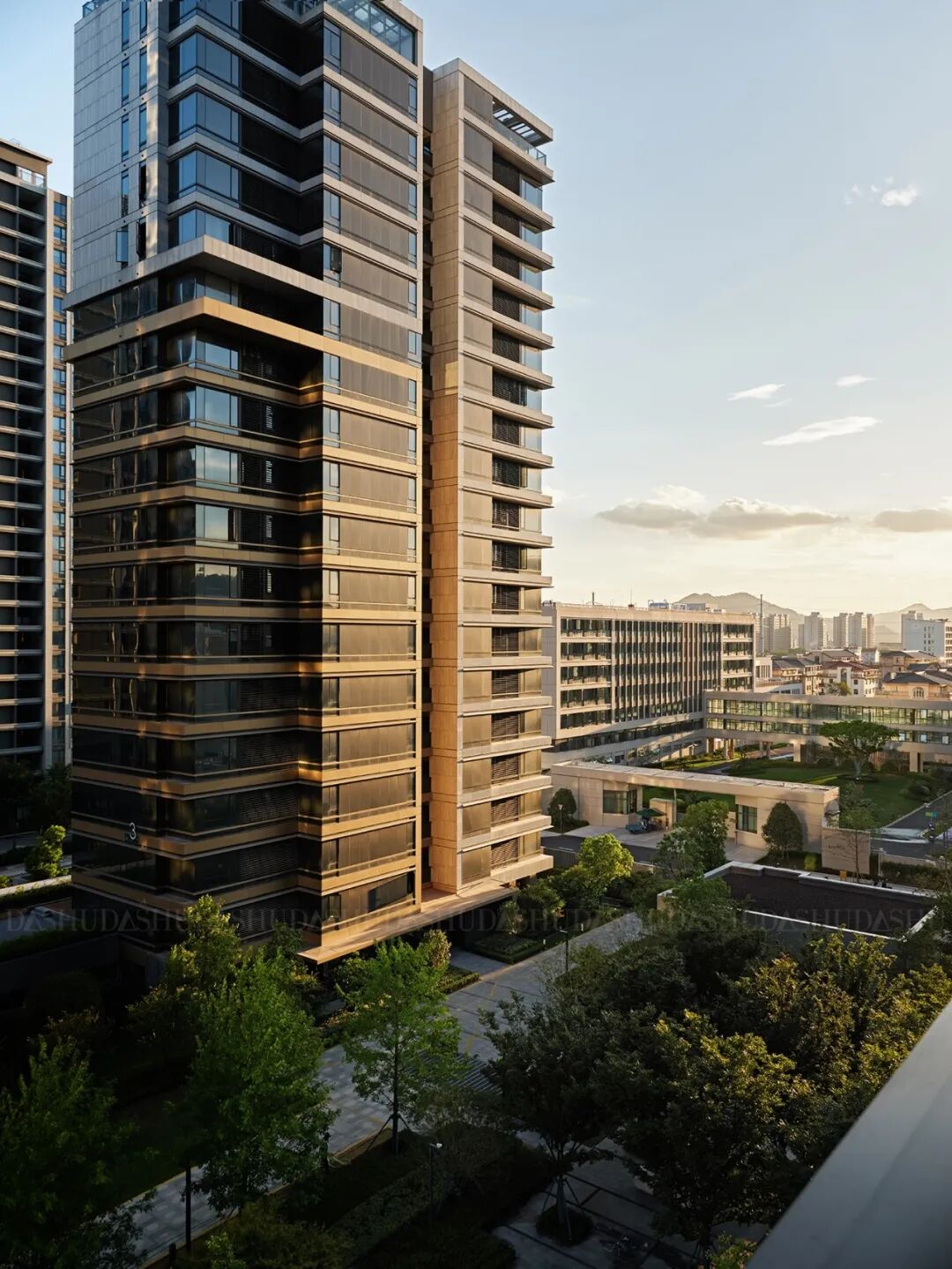 大树精造｜自然弧线勾勒家的浪漫-124