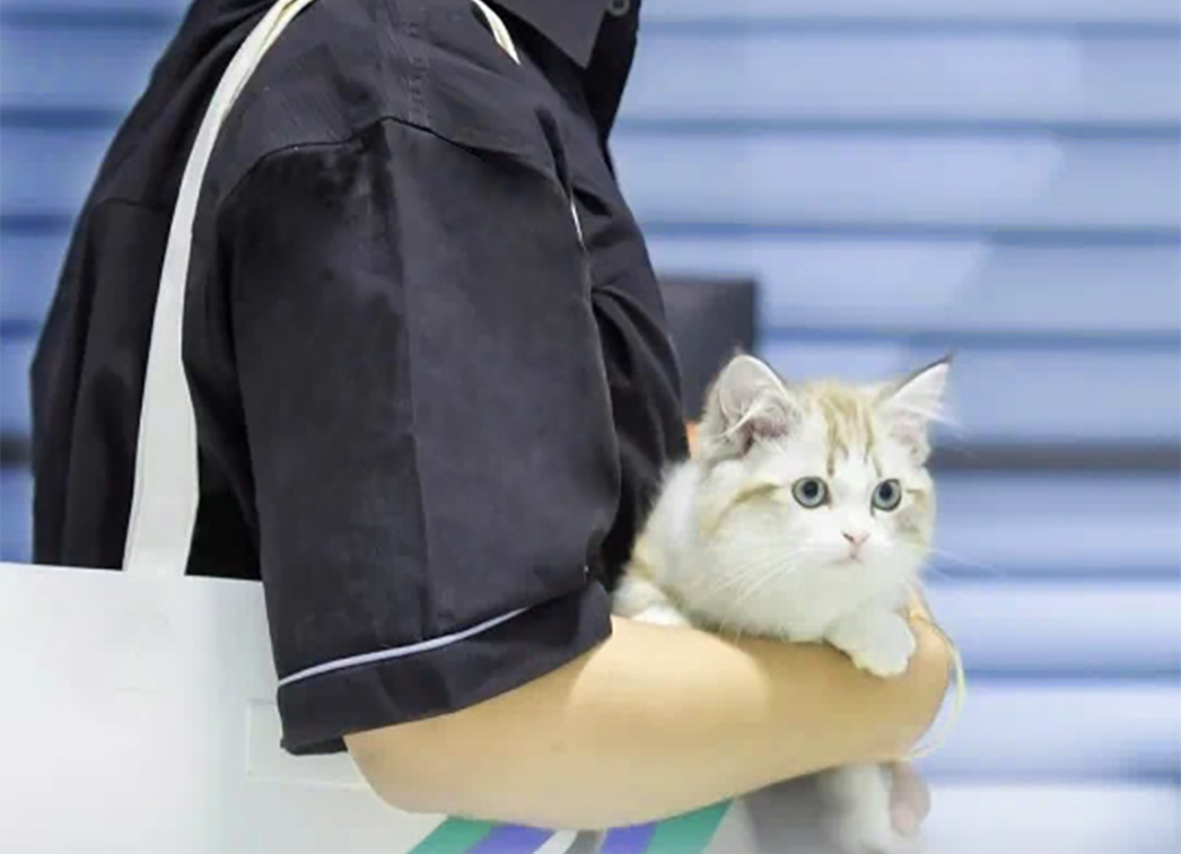 立品设计打造 bosie 上海旗舰店，叙事概念呈现 2000㎡超级体验空间-73