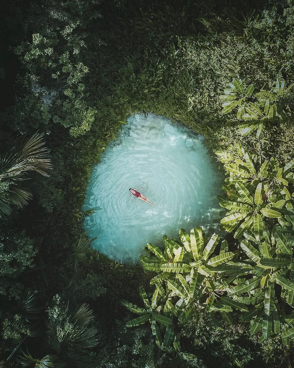 绿色震撼心灵 | 全球绿色摄影大赛获奖作品欣赏-117