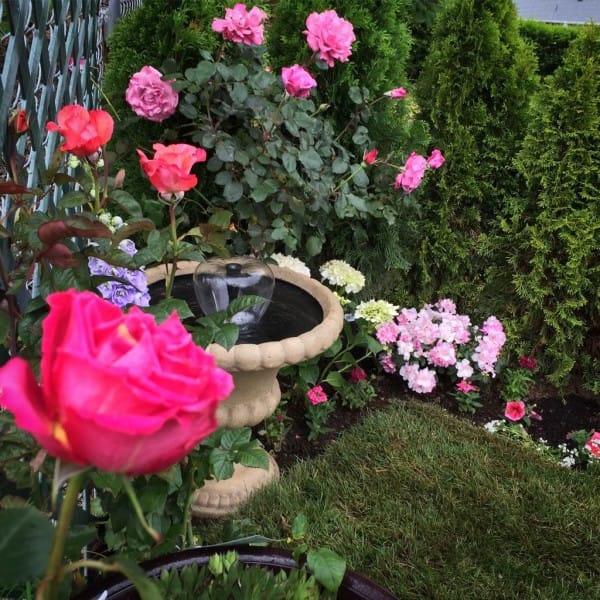 为Rachael女儿打造的秘密花园丨Rachael及其丈夫-31