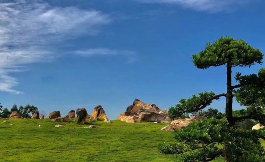 南宁罗汉松园 | 写意山水与天人合一的现代园林-92