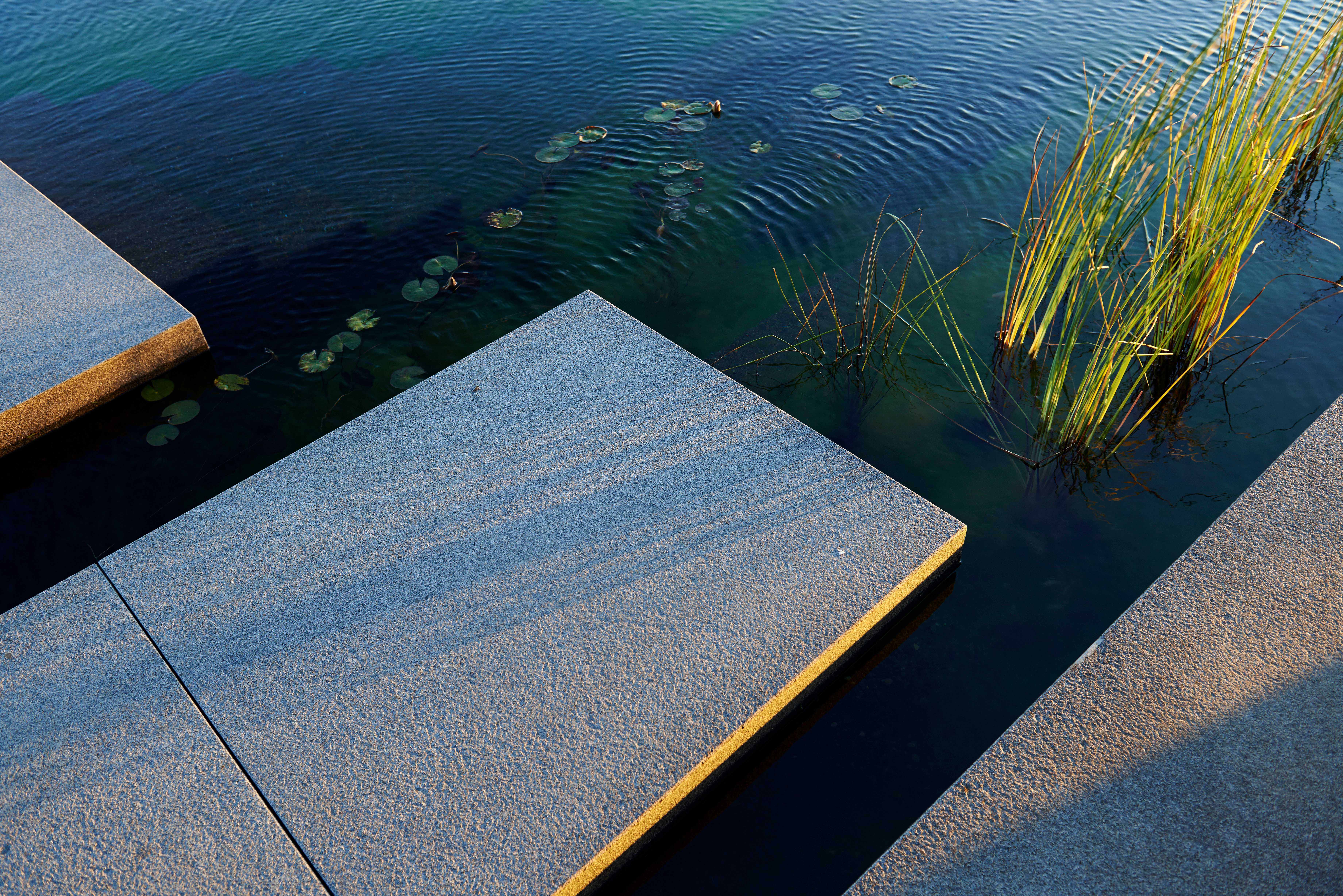 悬崖之上的绿色泳池住宅-7