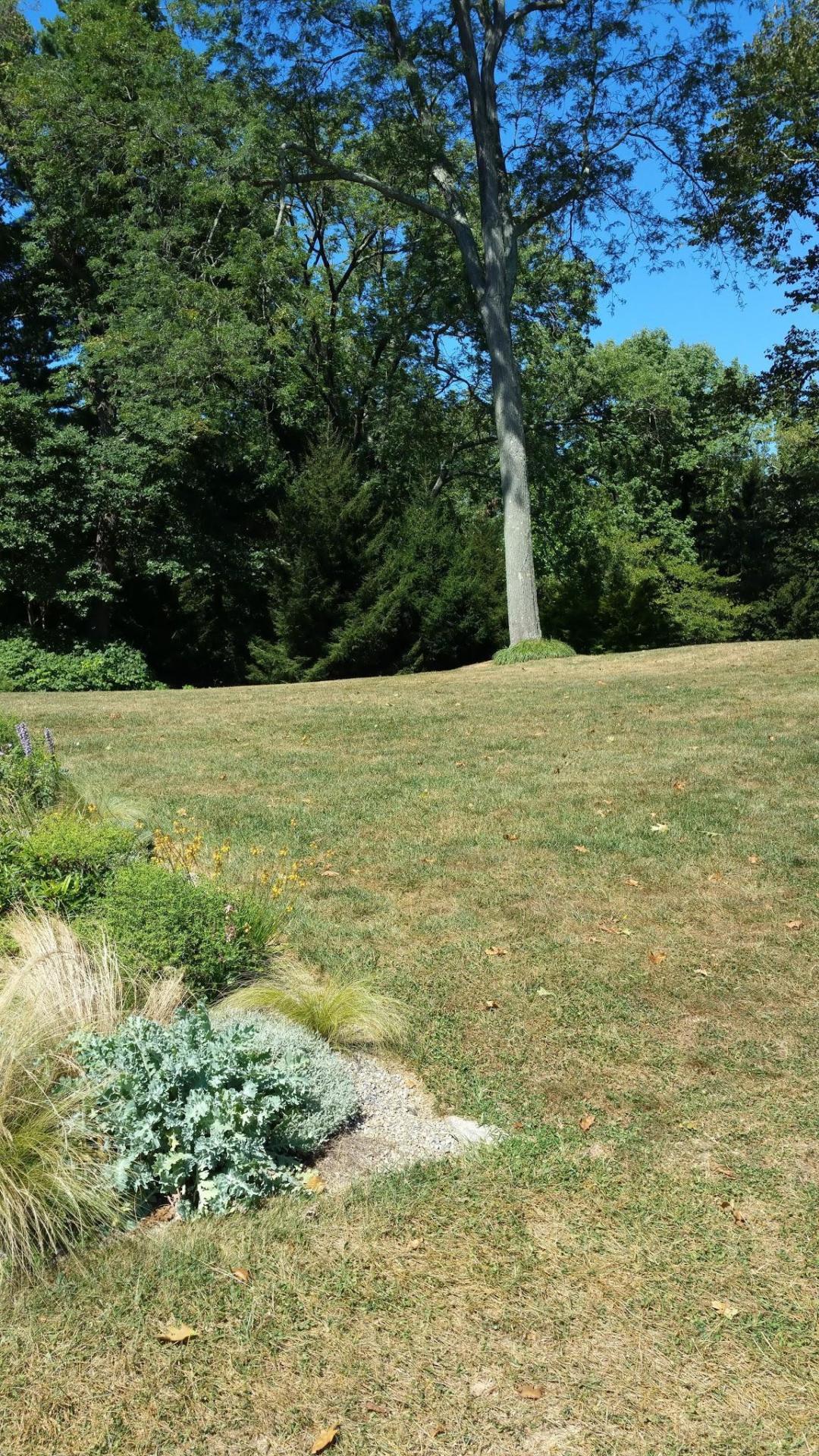 丨美国宾夕法尼亚丨Chanticleer staff and consultants-22