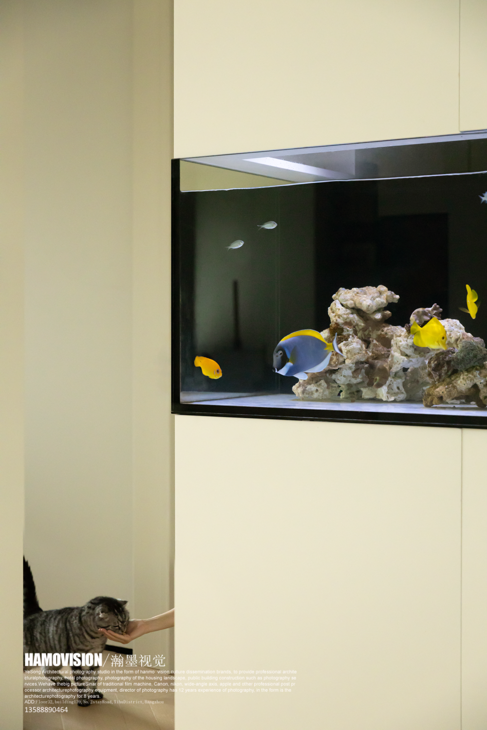 奶油色空间中的极简艺术丨中国上海丨年·演播室-46