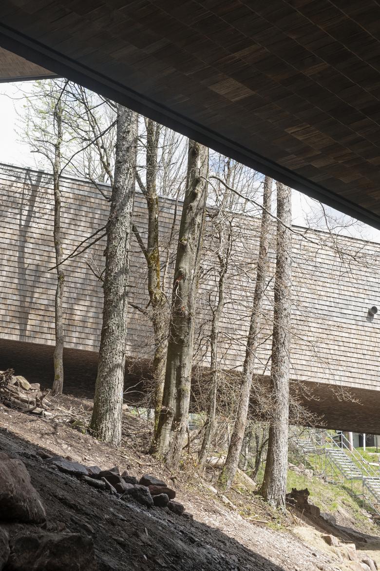 Nationalpark Schwarzwald 访客中心丨德国-40